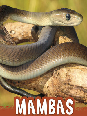 cover image of Mambas